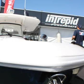 IRIS-S460-18 IP Mini-Dome-Kamera, HD, Aufbau, Edelstahl, 1.8mm