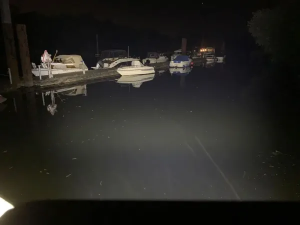 WL2202-W LED Deckscheinwerfer Flutlicht, weiß